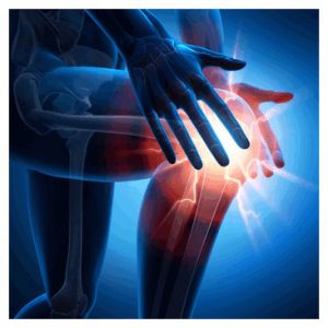 ptf fizjoterapia kurs
